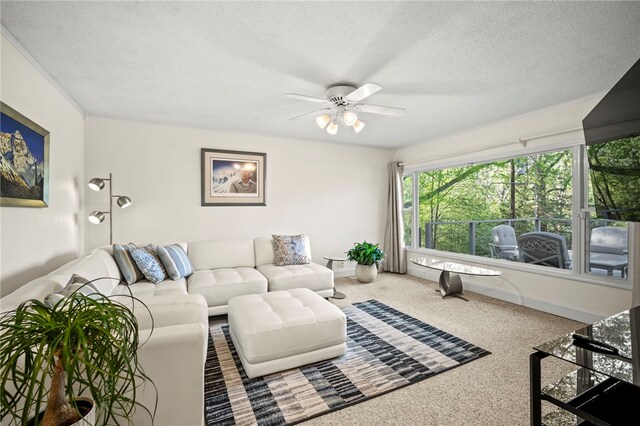 41 Lake Ridge Dr, Greenville, SC 29611 - photo 21