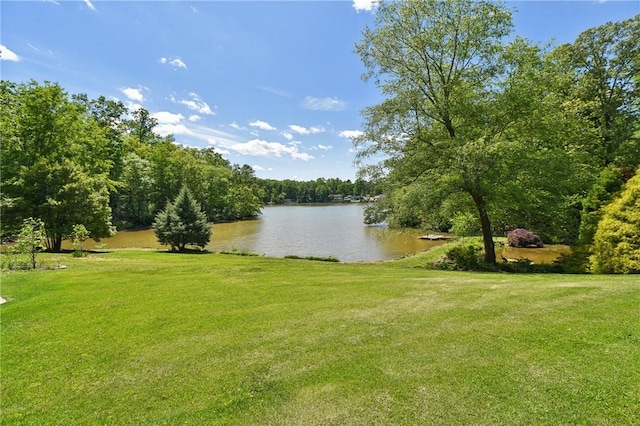 41 Lake Ridge Dr, Greenville, SC 29611 - photo 32