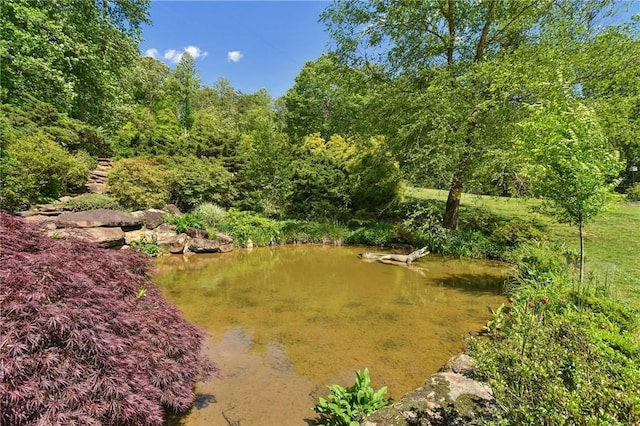 41 Lake Ridge Dr, Greenville, SC 29611 - photo 3