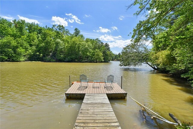 41 Lake Ridge Dr, Greenville, SC 29611 - photo 4