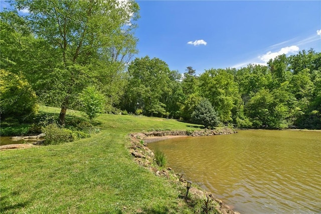 41 Lake Ridge Dr, Greenville, SC 29611 - photo 5