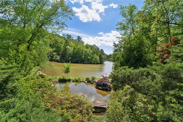 41 Lake Ridge Dr, Greenville, SC 29611 - photo 6