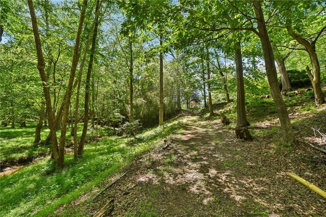 41 Lake Ridge Dr, Greenville, SC 29611 - photo 41