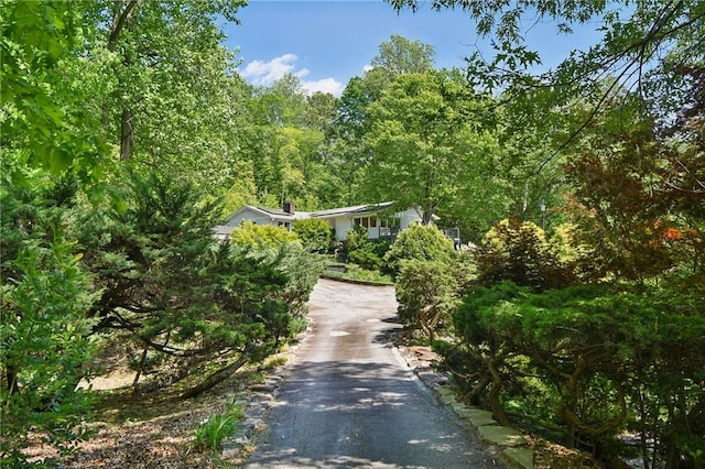 41 Lake Ridge Dr, Greenville, SC 29611 - photo 46