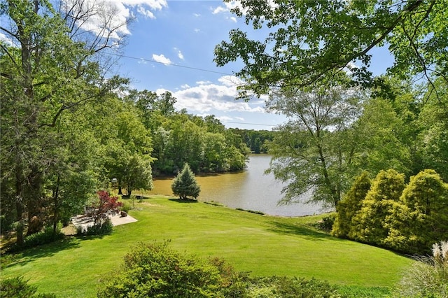 41 Lake Ridge Dr, Greenville, SC 29611 - photo 48