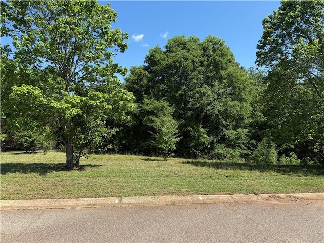 105 Bradford Way, Anderson, SC 29621 - photo 3