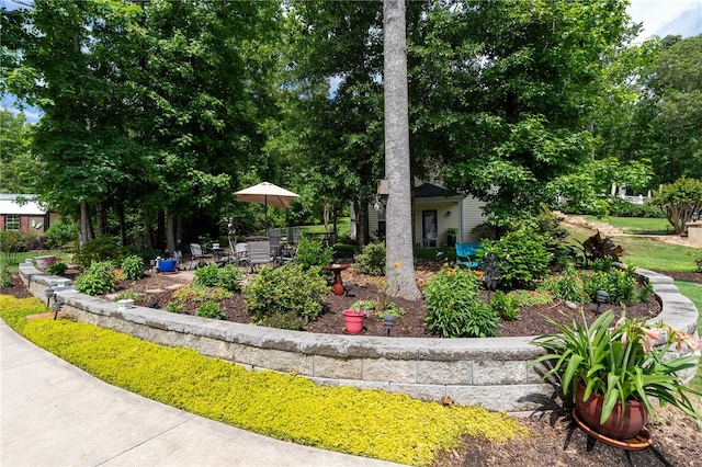view of yard featuring a patio area