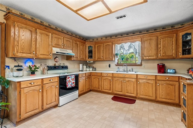 kitchen featuring electric range oven, under cabinet range hood, a sink, and brown cabinetry