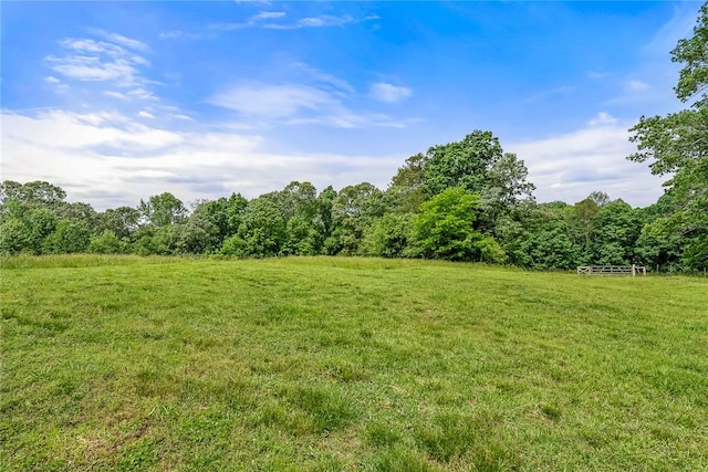 view of grassy yard with a wooded view and a rural view