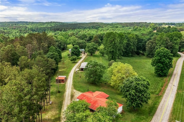 drone / aerial view of a forest