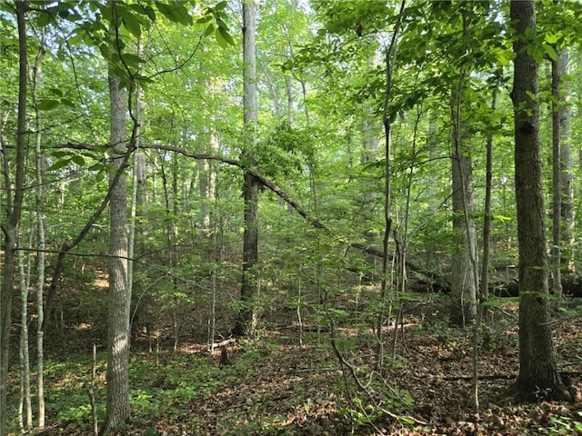 LOT1061 N Hogan Dr, Westminster, SC 29693