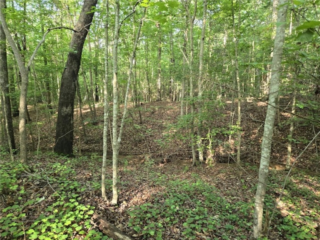 LOT1061 N Hogan Dr, Westminster, SC 29693