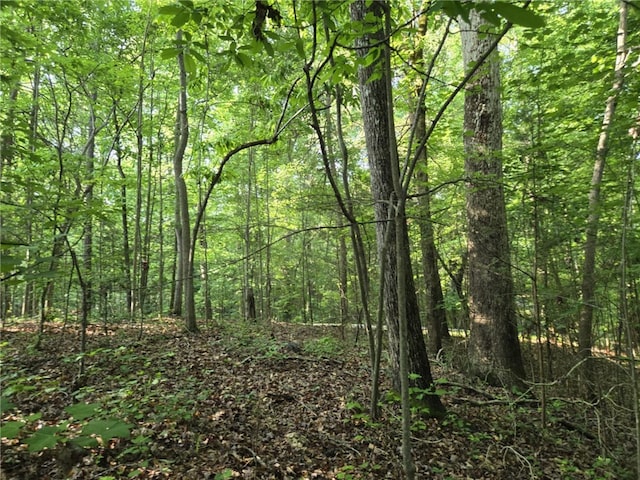 LOT1061 N Hogan Dr, Westminster, SC 29693
