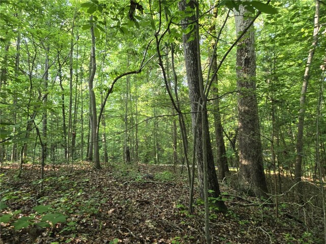 LOT1061 N Hogan Dr, Westminster, SC 29693