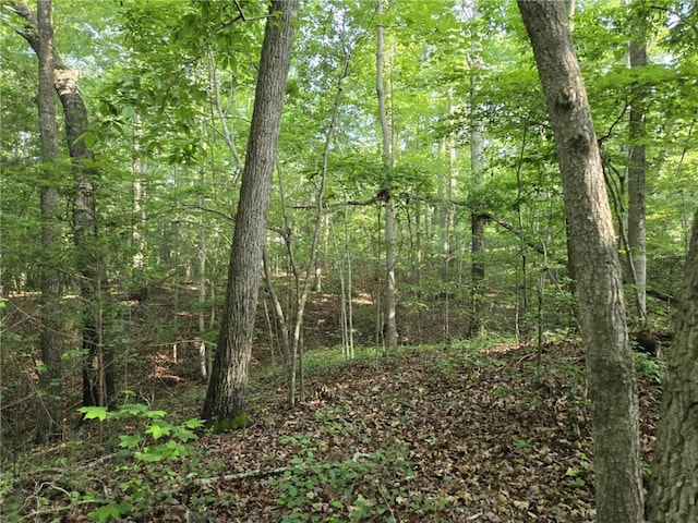 LOT1061 N Hogan Dr, Westminster, SC 29693