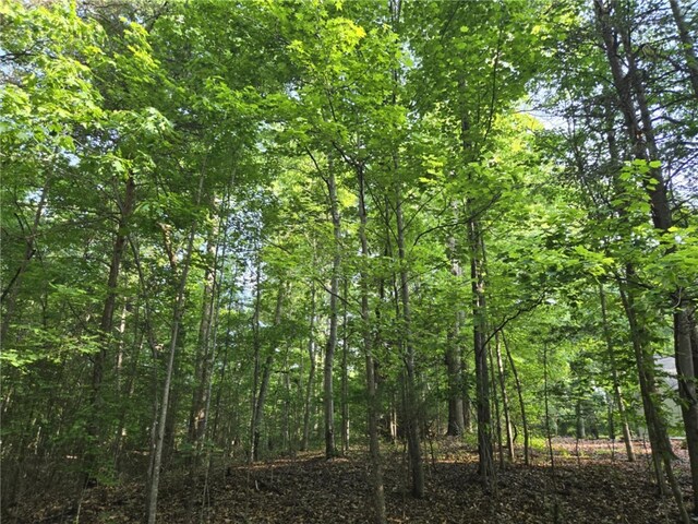 LOT1061 N Hogan Dr, Westminster, SC 29693