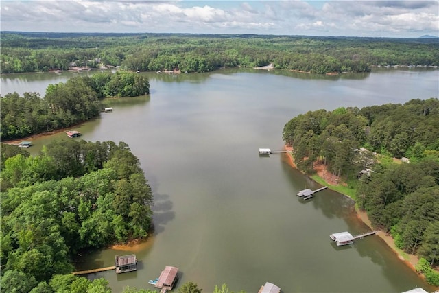 238 Jenkins Mill Dr, Westminster, SC 29693 - aerial view of a forest and a large body of water