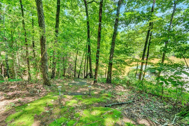 116 Deerfield Ln, Seneca, SC 29678 - photo 36