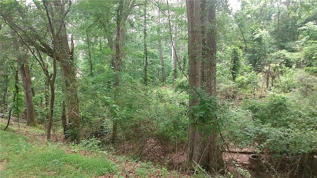 810 Cedar Grove Rd, Townville, SC 29689 - photo 1