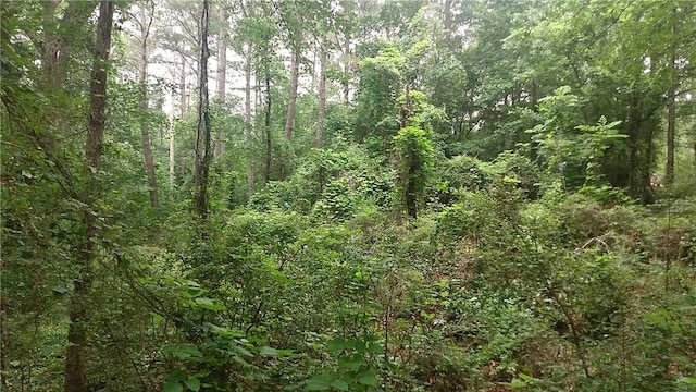 810 Cedar Grove Rd, Townville, SC 29689 - photo 2