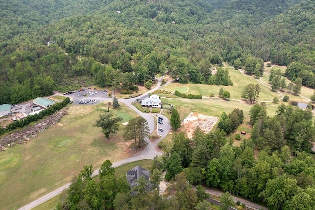 view of property location with a heavily wooded area