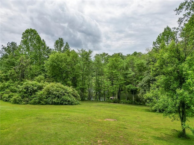 371 Store Rd, Easley, SC 29640 - view of green lawn featuring a forest view