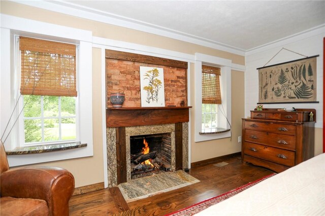 371 Store Rd, Easley, SC 29640 - bedroom with wood finished floors, a premium fireplace, and ornamental molding