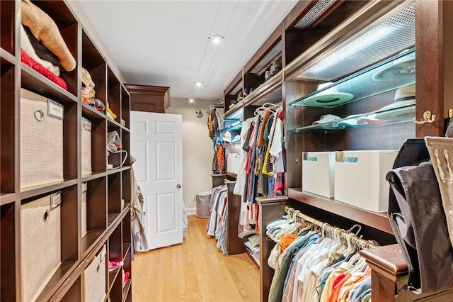 103 Crepe Myrtle Ln, Anderson, SC 29625 - spacious closet with light wood-style floors