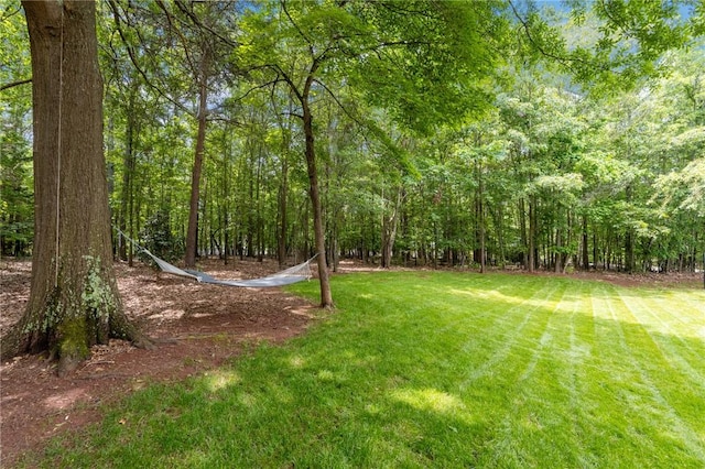 103 Crepe Myrtle Ln, Anderson, SC 29625 - view of grassy yard with a wooded view