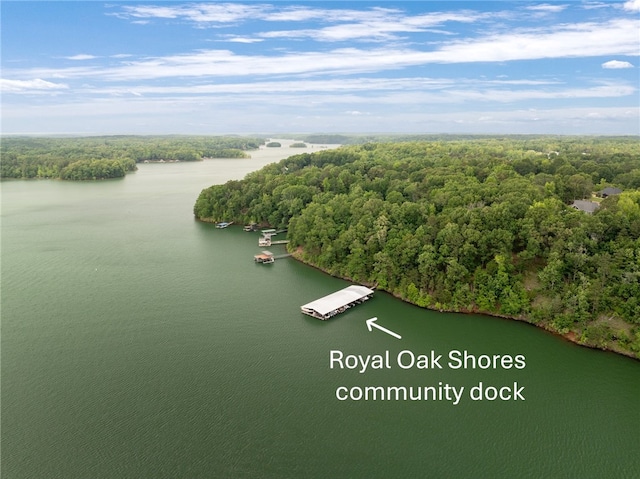 103 Crepe Myrtle Ln, Anderson, SC 29625 - drone / aerial view of a heavily wooded area and a nearby body of water