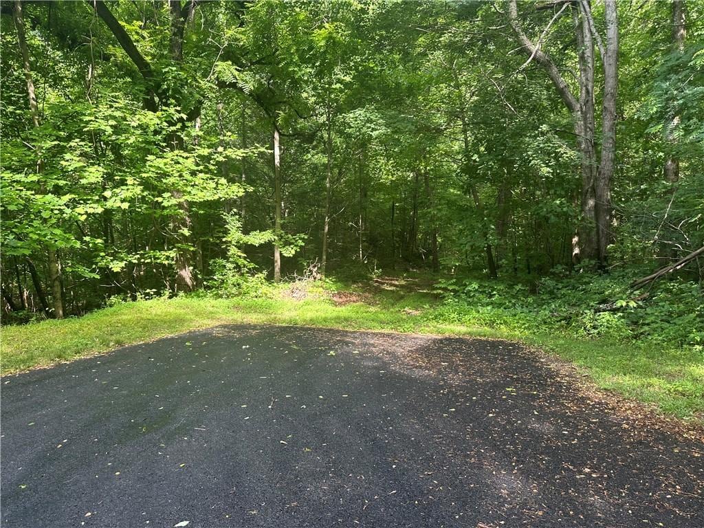 76 Southview Ledge Rd, Landrum, SC 29356