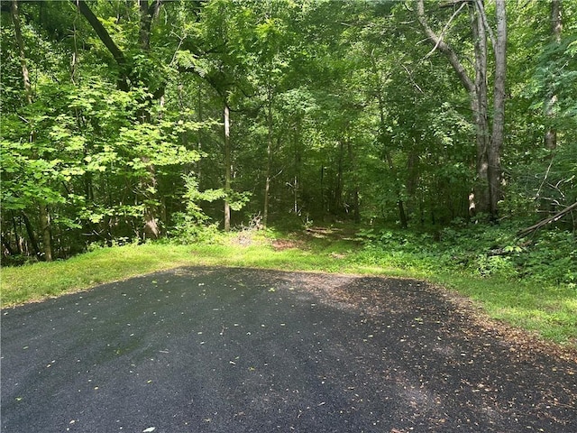76 Southview Ledge Rd, Landrum, SC 29356