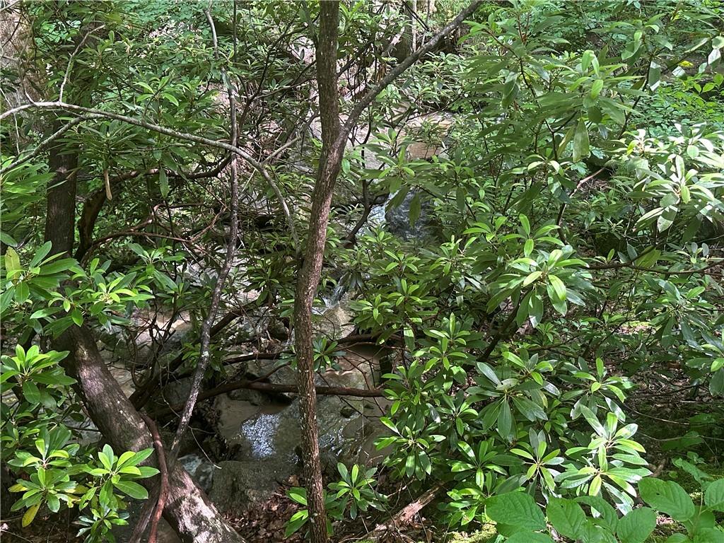 76 Southview Ledge Rd, Landrum, SC 29356