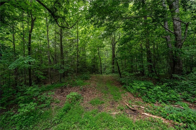76 Southview Ledge Rd, Landrum, SC 29356