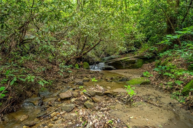 76 Southview Ledge Rd, Landrum, SC 29356