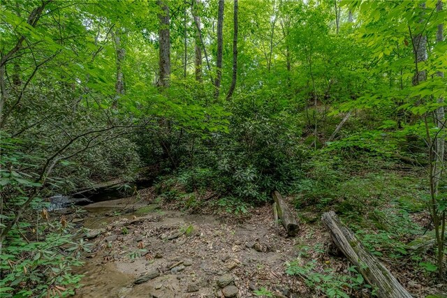 76 Southview Ledge Rd, Landrum, SC 29356