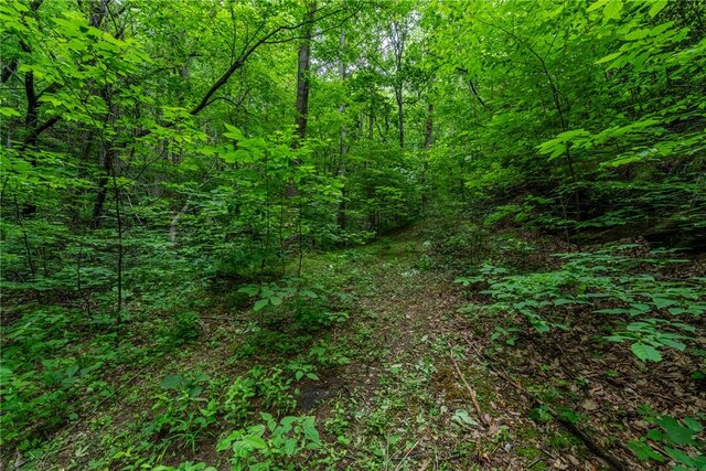 76 Southview Ledge Rd, Landrum, SC 29356