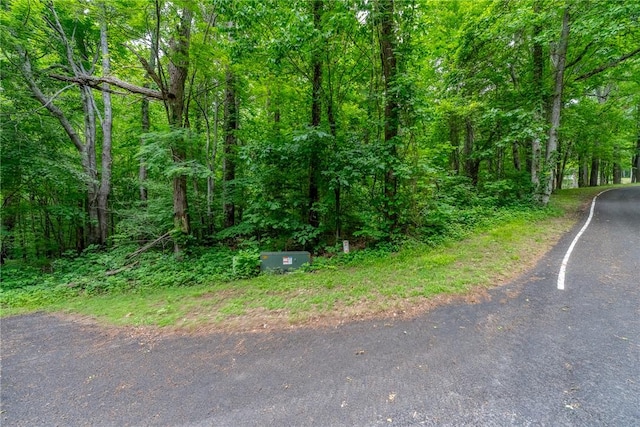 76 Southview Ledge Rd, Landrum, SC 29356