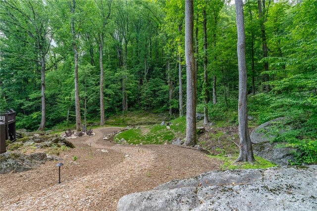 76 Southview Ledge Rd, Landrum, SC 29356