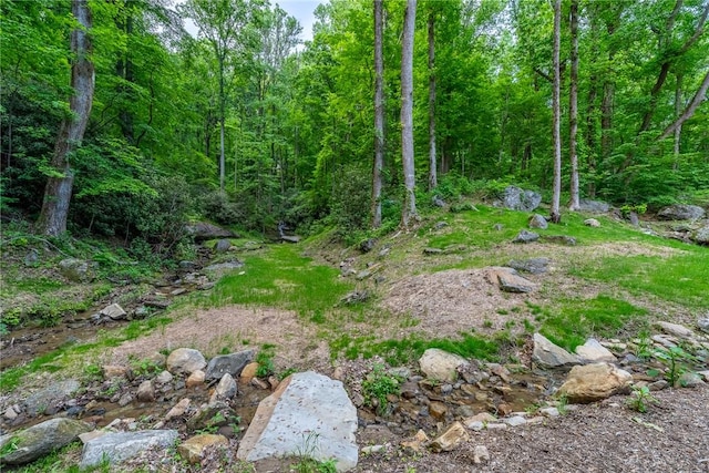 76 Southview Ledge Rd, Landrum, SC 29356