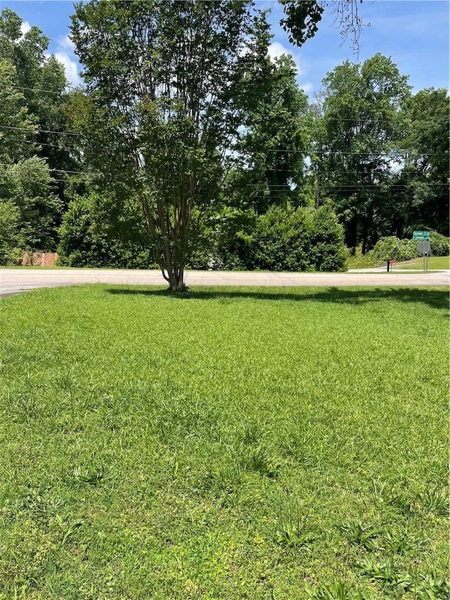424 Sherwood Dr, Seneca, SC 29678 - photo 20