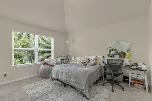 103 James Lake Way, Easley, SC 29642 - carpeted bedroom with baseboards and lofted ceiling