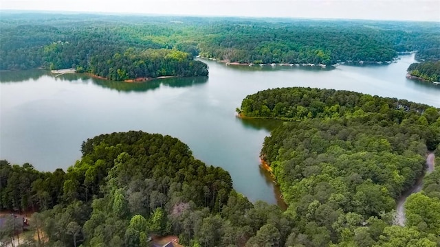 608 Mckinney Way, Westminster, SC 29693 - bird's eye view of a forest and a nearby body of water