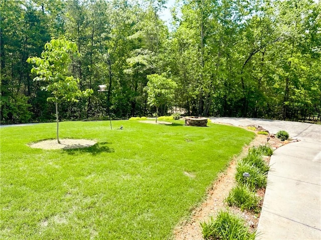 608 Mckinney Way, Westminster, SC 29693 - view of green lawn