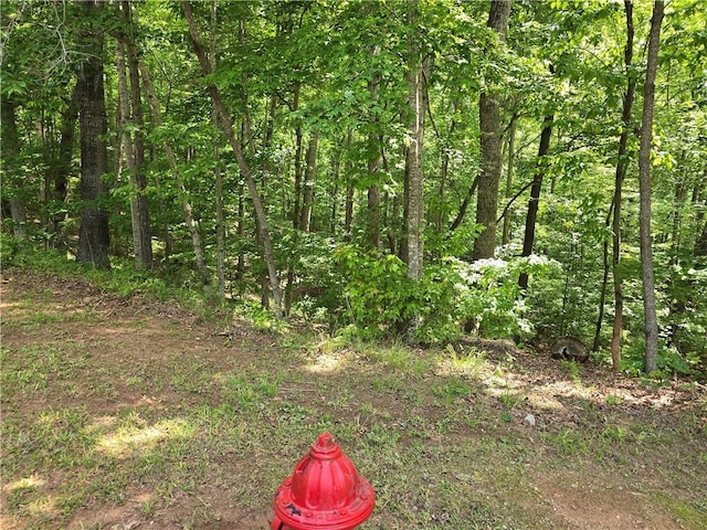 00 Laurel Dr, Westminster, SC 29693 - photo 1