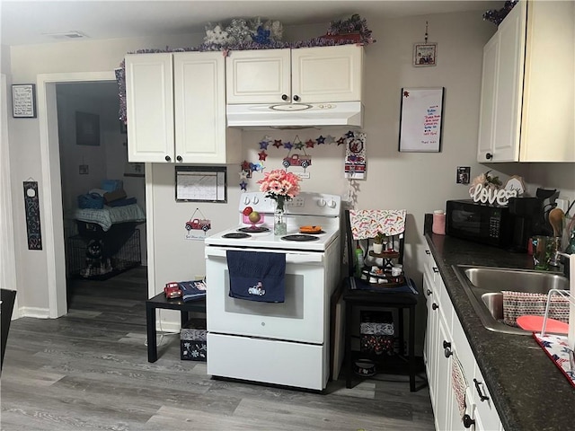 130 Marshall Ave, Seneca, SC 29678 - kitchen featuring white electric stove, under cabinet range hood, light wood-type flooring, a sink, and black microwave