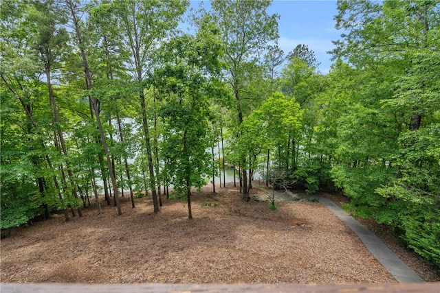 117 W Waters Edge Ln, West Union, SC 29696 - view of yard
