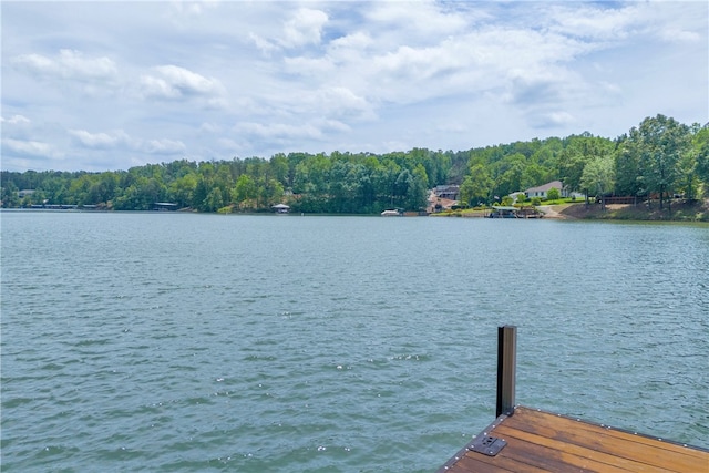 117 W Waters Edge Ln, West Union, SC 29696 - dock featuring a water view