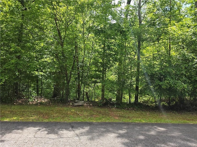 00 Camellia St, Westminster, SC 29693 - photo 1