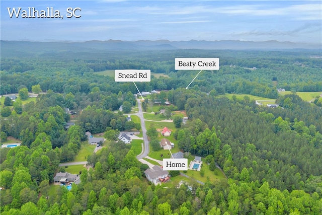 211 Jana Dr, Walhalla, SC 29691 - aerial overview of property's location with a forest and mountains